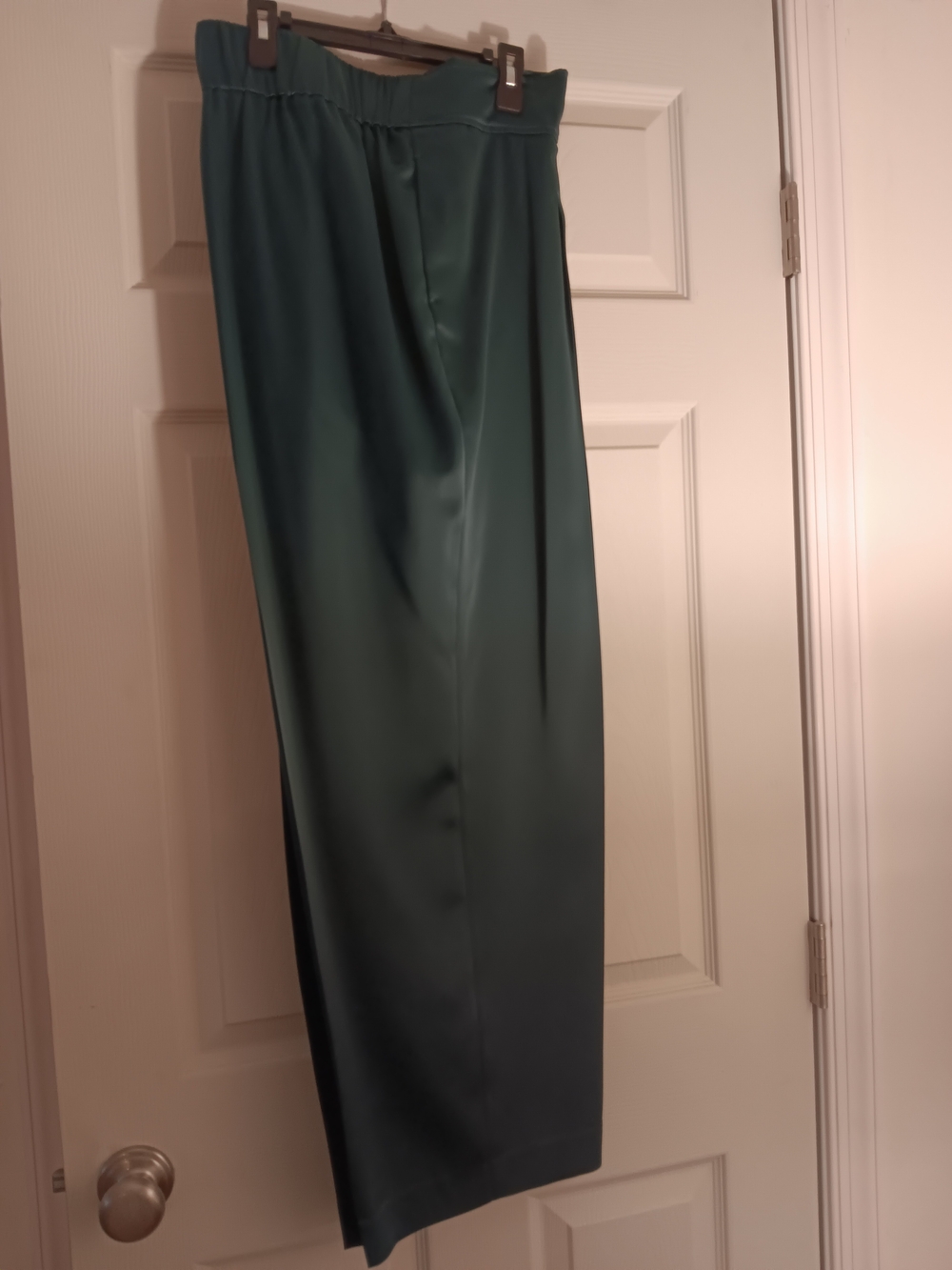 ANNE KLEIN PINE FOREST COLOR PETITE DRESS PANTS.